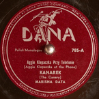 Kanarek (monolog komiczny)