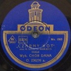 Mój czarny kot (H. Gold – Brzechwa)
