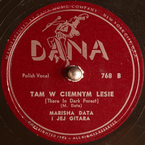 Tam w ciemnym lesie