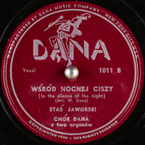 Wśród nocnej ciszy