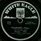 White Eagle