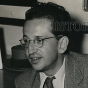 Erwin Strauss