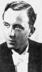 Robert Nowak Robert Nowak