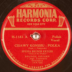 Cisawy konisiu