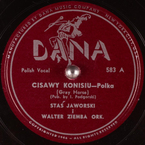 Cisawy konisiu
