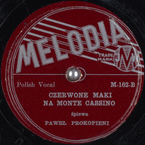 Czerwone maki na Monte Cassino