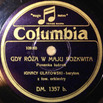 Gdy róża w maju rozkwita