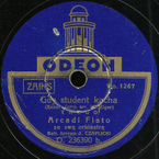 Gdy student kocha