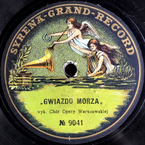 Gwiazdo morza
