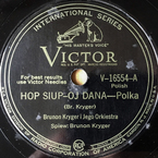 Shenandoska polka