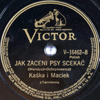 Jak zaceni psy scekać