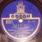 Jaśminy