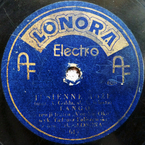 Jesienne róże