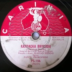 Karpacka brygada