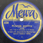 Konik polny