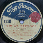 Kwiat paproci