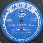 Kwiat paproci
