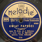 Kwiat paproci