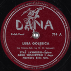Luba gołębica