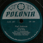 Nad jeziorem