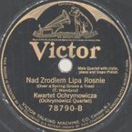 Nad źródłem lipa rośnie