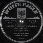 Naokoło ciemny las