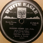 Naokoło ciemny las