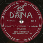 Naokoło ciemny las