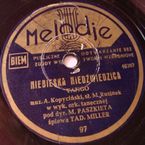 Niebieska niedźwiedzica