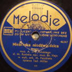 Niebieska niedźwiedzica