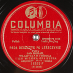 Pada deszczyk po leszczynie