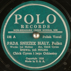 Pada śnieżek biały
