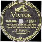 Pójdź ze mną Kasiu do lasa