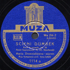 Ściani dumbek