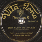 Siwy konik we dworze