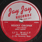 Wesoły chłopak