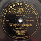 Wiejski grajek