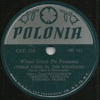 Wrzuć grosz do fontanny