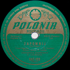 Zapomnij (Landau)