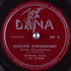 Złociste chryzantemy