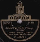 Jesienne róże